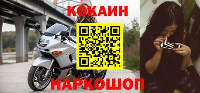 стаф Кинель