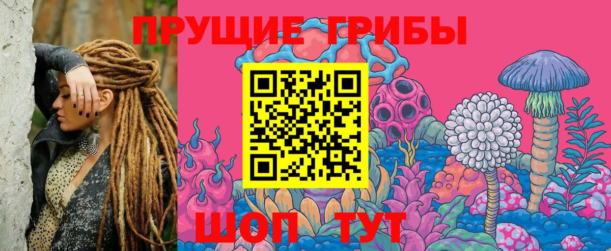 Галлюциногенные грибы Psilocybine cubensis  Вход с VPN  Красноуфимск 